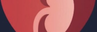 cropped heart kidney logo.jpg